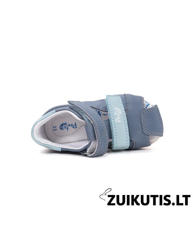 Mėlynos basutės 28-33 d. DA05-6-1808L 3