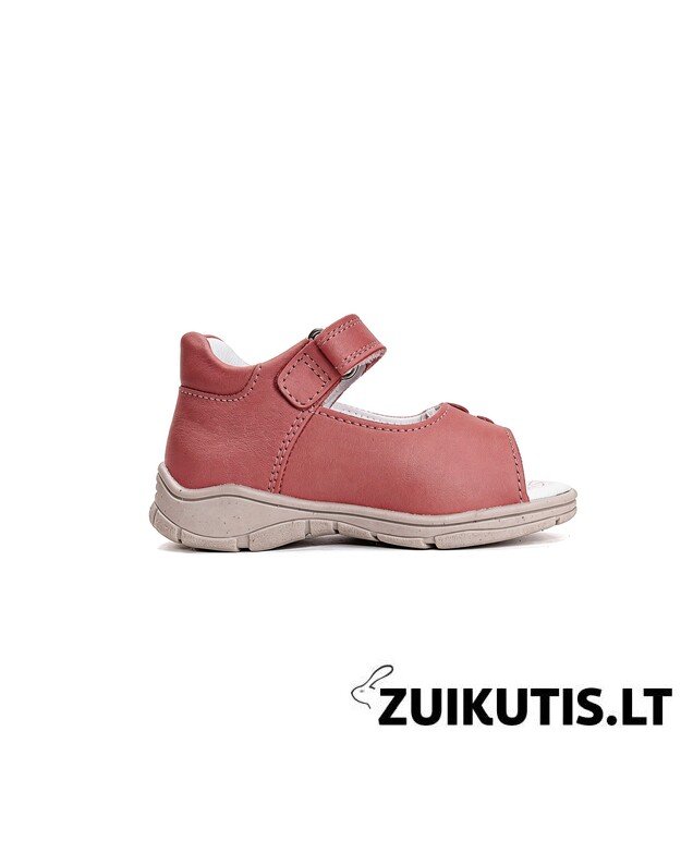 Raudonos basutės 22-27 d. DA05-6-1845C 2