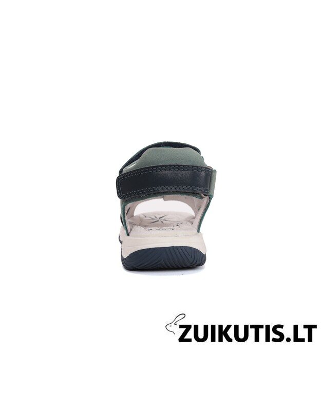 Žalios basutės 25-30 d. G103-61567AM 1
