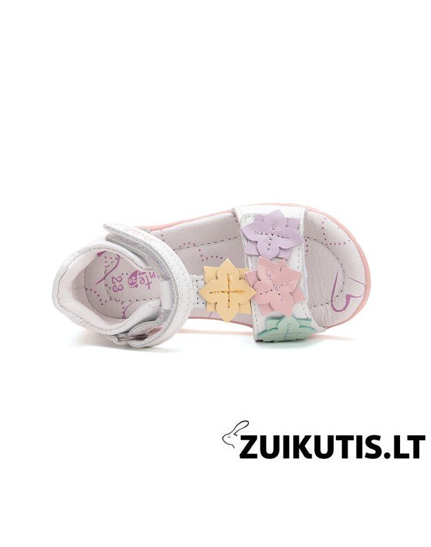 Baltos basutės 28-33 d. DA05-5-1891L