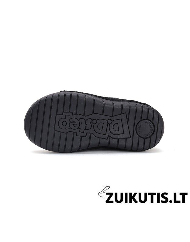 LED Batai su dirbtinio kailio pamušalu 31-36 d. W050-42707CL 2