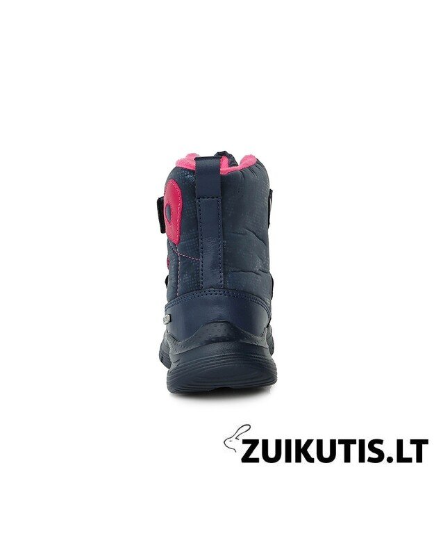 Sniego batai su vilna 24-29 d. F651-359AM 1