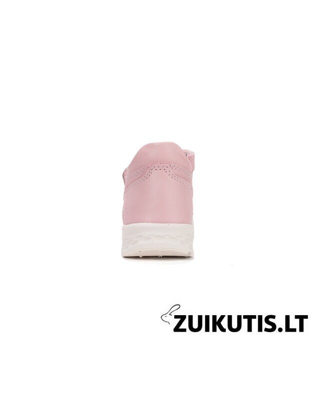 Kreminės basutės 22-27 d. DA05-6-1884B 1