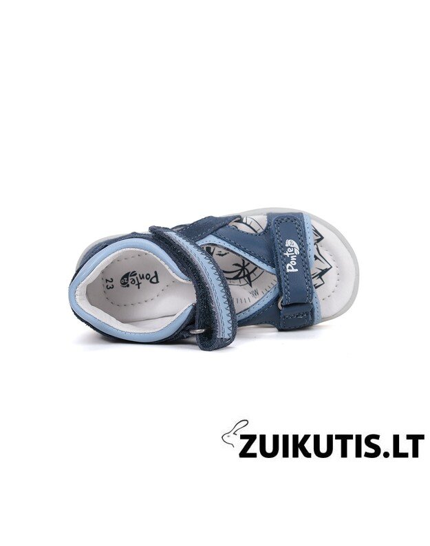 Mėlynos basutės 28-33 d. DA05-6-1686L 3