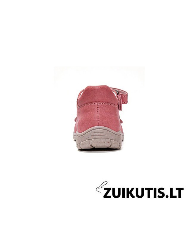 Raudonos basutės 28-33 d. DA05-6-1845CL 1