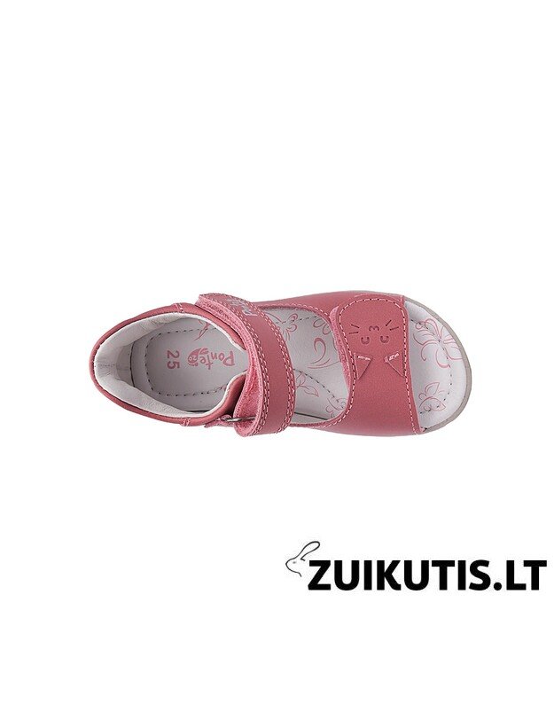 Raudonos basutės 28-33 d. DA05-6-1845CL 3