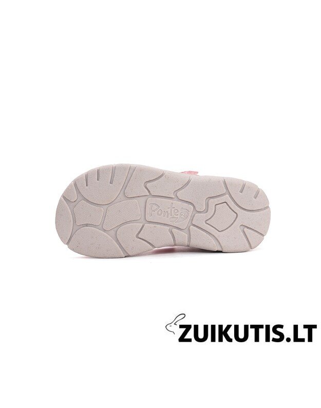 Raudonos basutės 28-33 d. DA05-6-1845CL 4