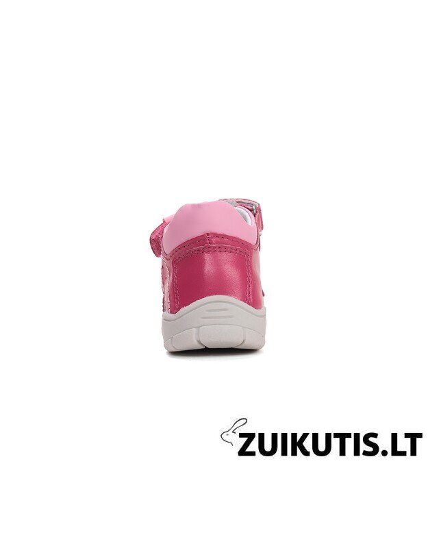 Raudonos basutės 22-27 d. DA05-6-1925C 1