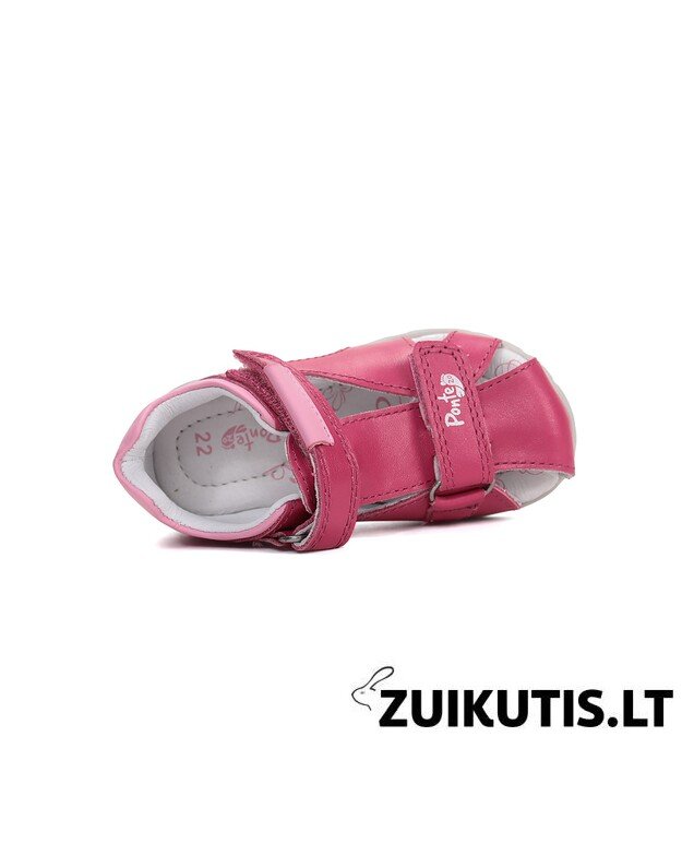 Raudonos basutės 22-27 d. DA05-6-1925C 3