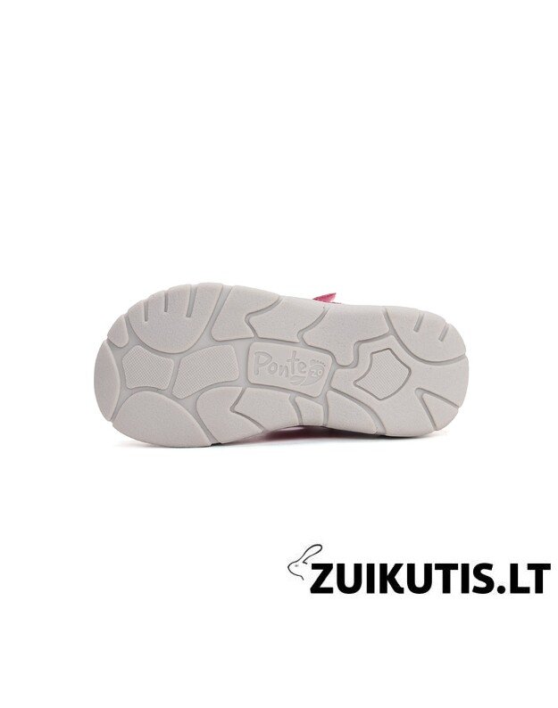 Raudonos basutės 22-27 d. DA05-6-1925C 4