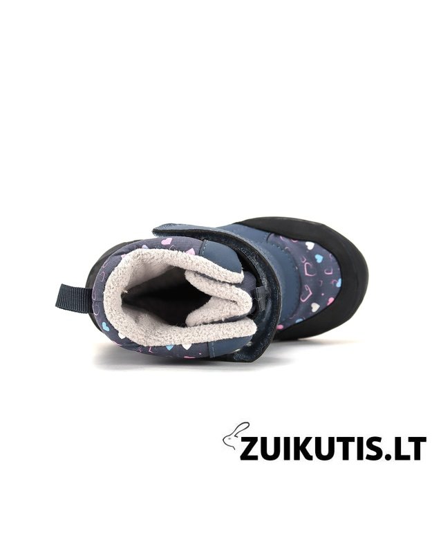 Sniego batai su vilna 22-27 d. P081-62248A