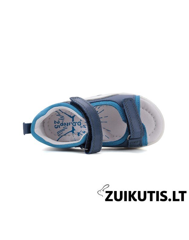Mėlynos basutės 19-24 d. G103-51229A