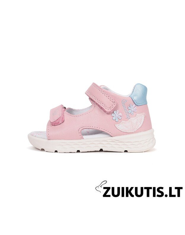 Rožinės basutės 22-27 d. DA05-6-1752