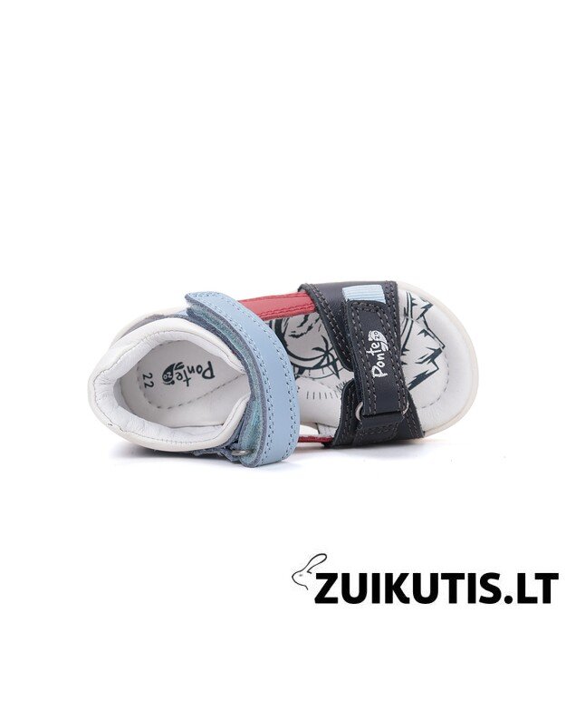 Basutės 22-27 d. DA05-6-1884 3