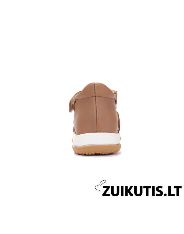 Rudos basutės 20-25 d. G064-61849 1