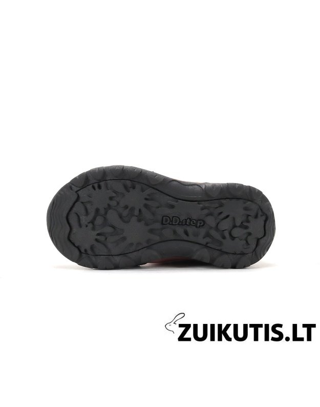 Sniego batai su vilna 28-33 d. P081-62248L