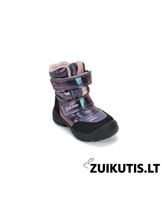 Sniego batai su vilna 22-27 d. P081-62428B