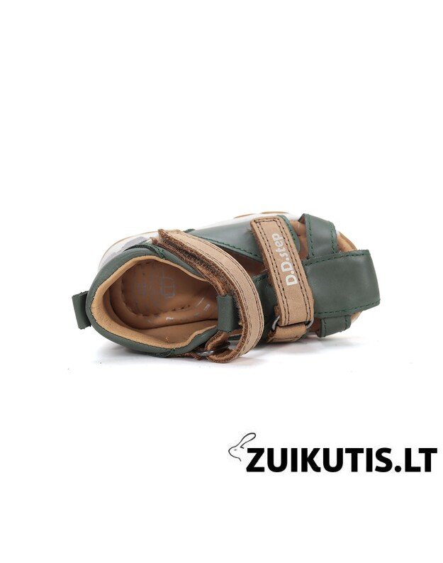 Žalsvos basutės 20-25 d. G064-61909A 2