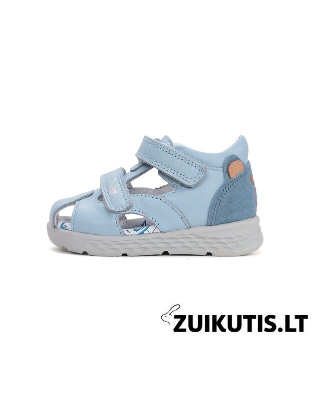 Mėlynos basutės 28-33 d. DA05-6-1256L