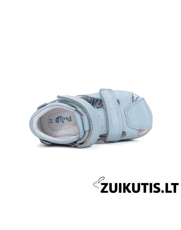 Mėlynos basutės 28-33 d. DA05-6-1256L 5