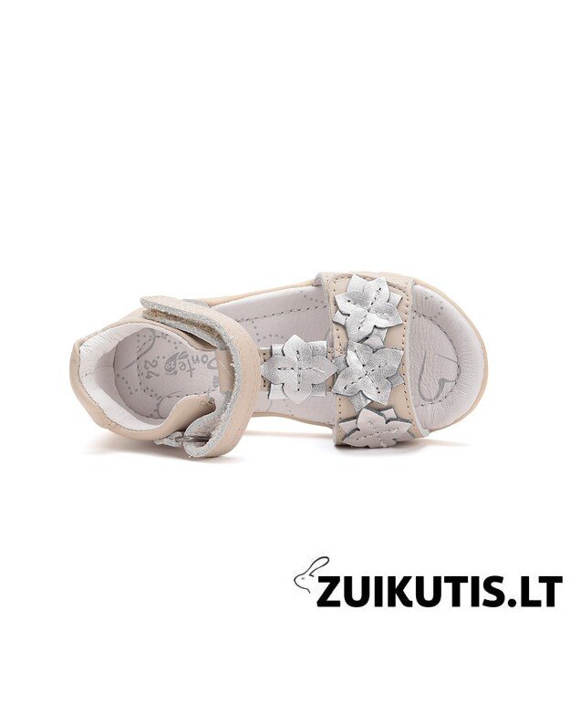 Kreminės basutės 28-33 d. DA05-5-1891AL 1