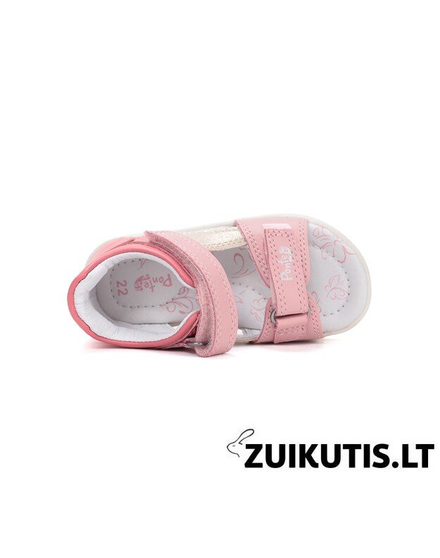 Kreminės basutės 28-33 d. DA05-6-1884CL 4