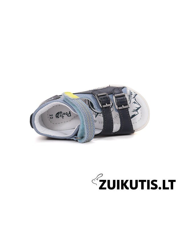 Mėlynos basutės 28-33 d. DA05-6-1893L 3