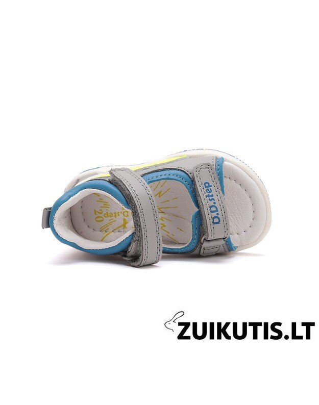 Pilkos basutės 25-30 d. G103-51229BM