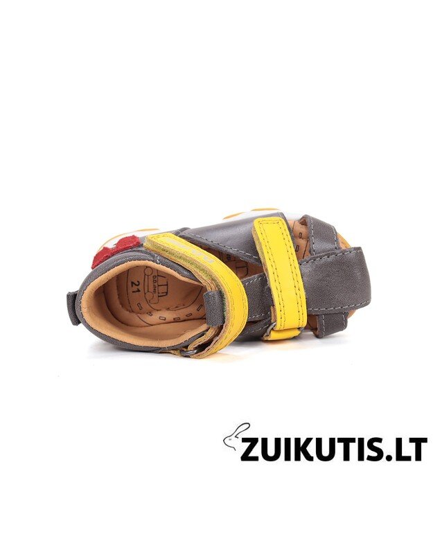 Pilkos basutės 20-25 d. G064-61909 3