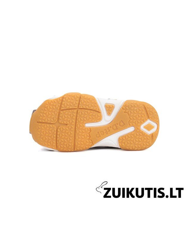 Pilkos basutės 20-25 d. G064-61909 4