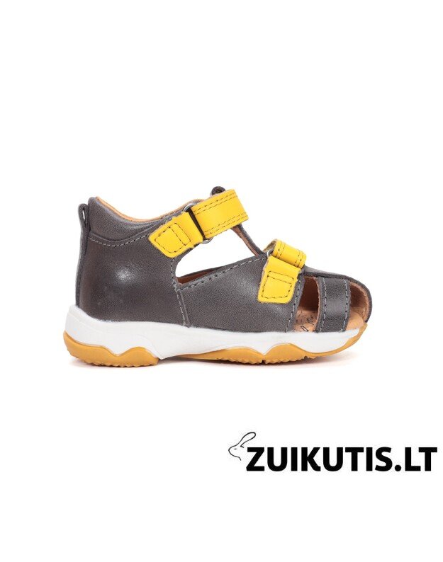 Pilkos basutės 20-25 d. G064-61909 2