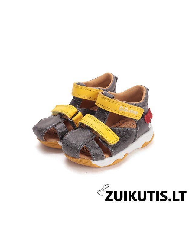 Pilkos basutės 20-25 d. G064-61909 5