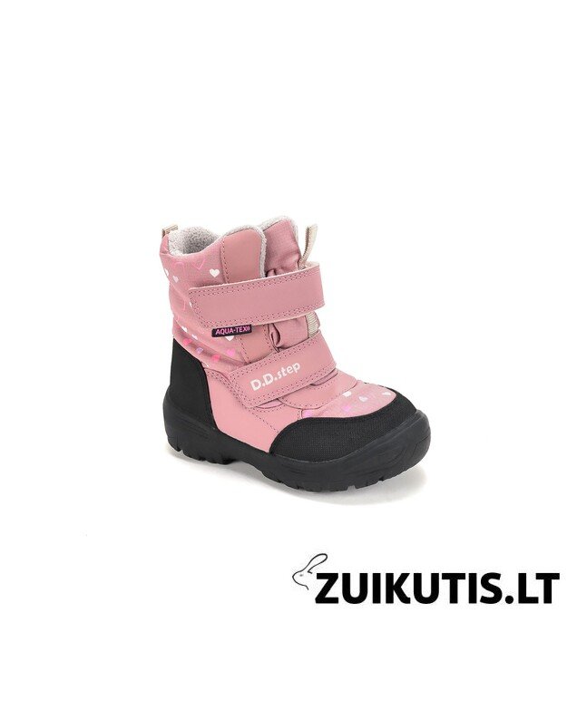 Sniego batai su vilna 22-27 d. P081-62248 3