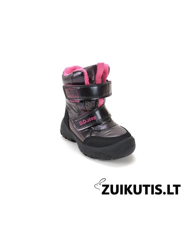 Sniego batai su vilna 22-27 d. P081-62428C
