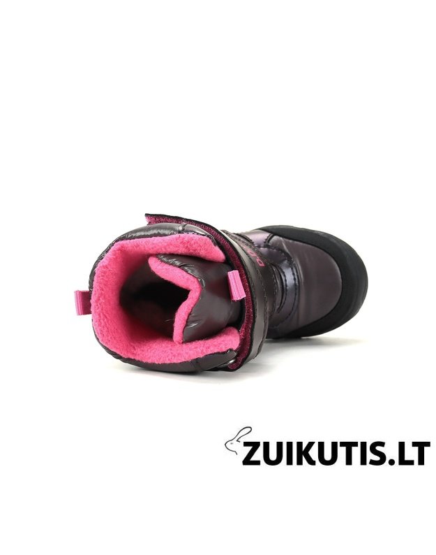 Sniego batai su vilna 22-27 d. P081-62428C