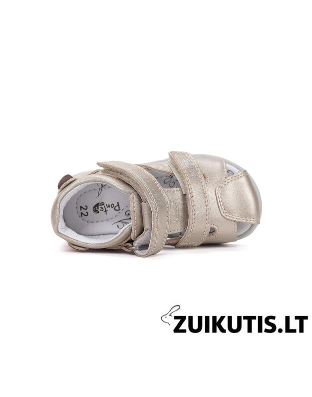 Auksinės basutės 22-27 d. DA05-6-1256B 4