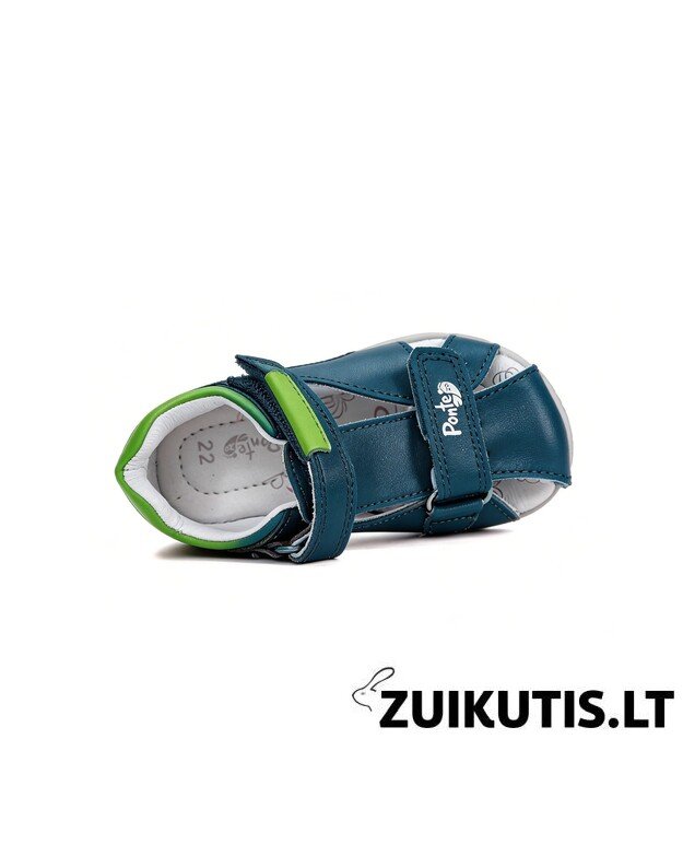 Mėlynos basutės 28-33 d. DA05-6-1925L 3