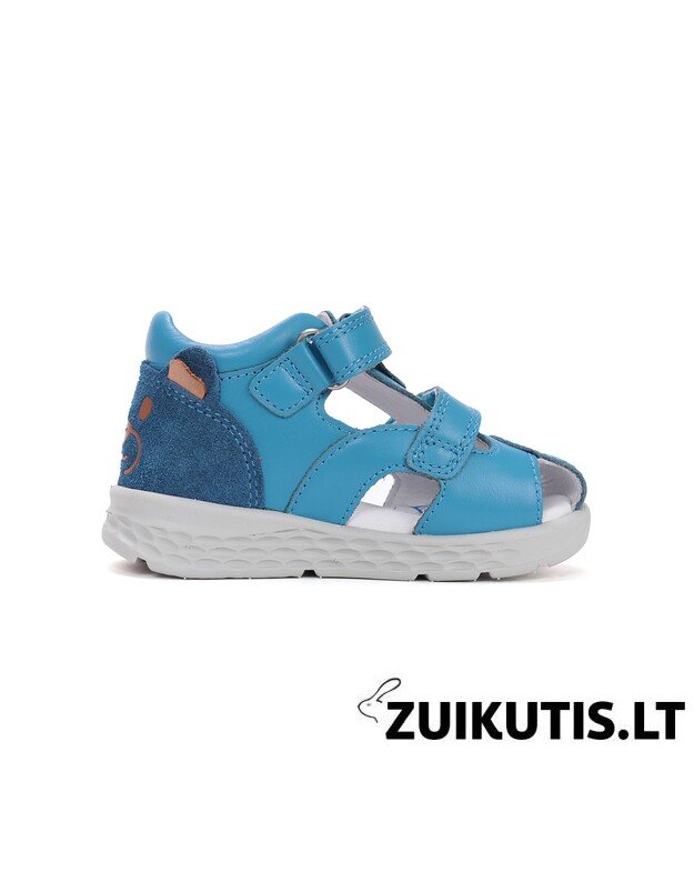 Mėlynos basutės 28-33 d. DA05-6-1256AL 2