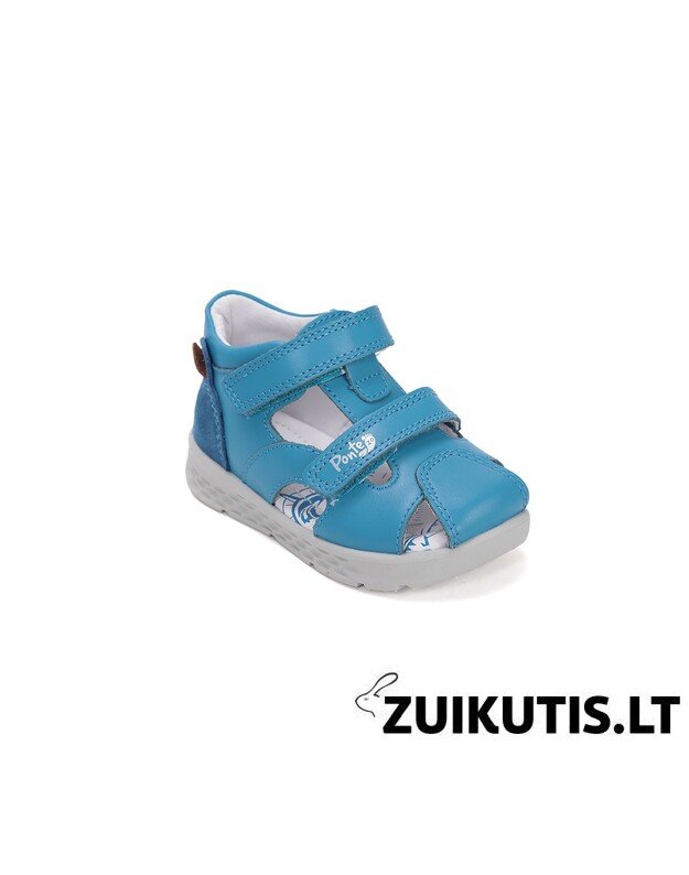 Mėlynos basutės 22-27 d. DA05-6-1256A 6