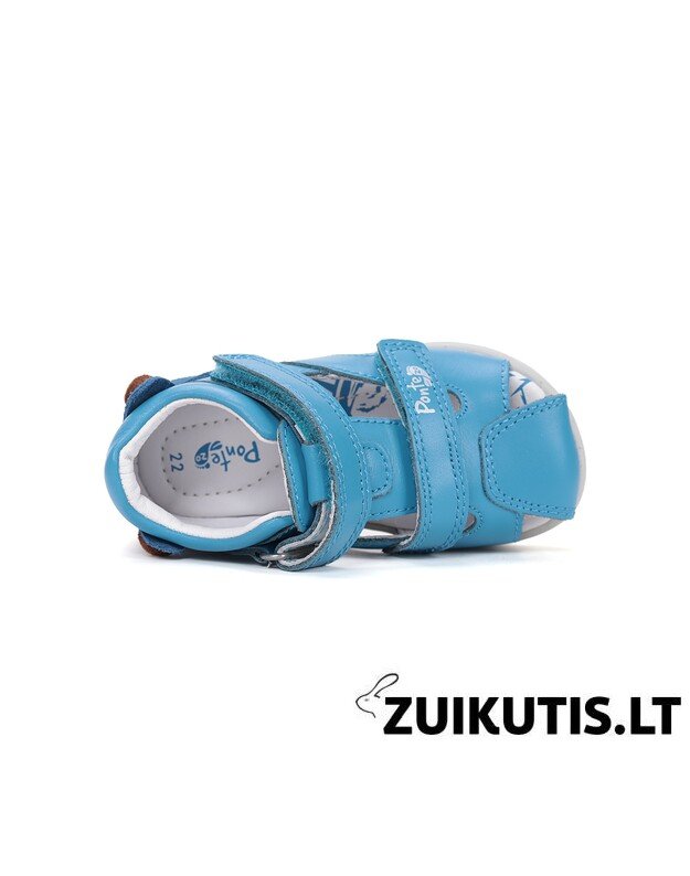 Mėlynos basutės 22-27 d. DA05-6-1256A 3