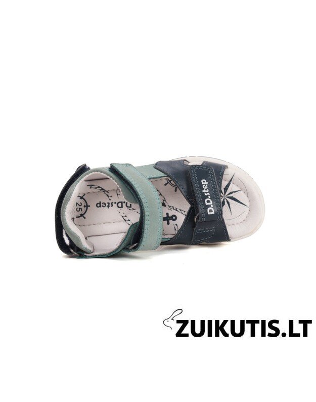 Žalios basutės 31-36 d. G103-61567AL 5