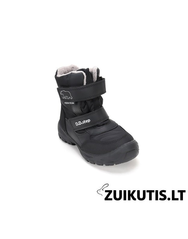 Sniego batai su vilna 22-27 d. P081-62428D